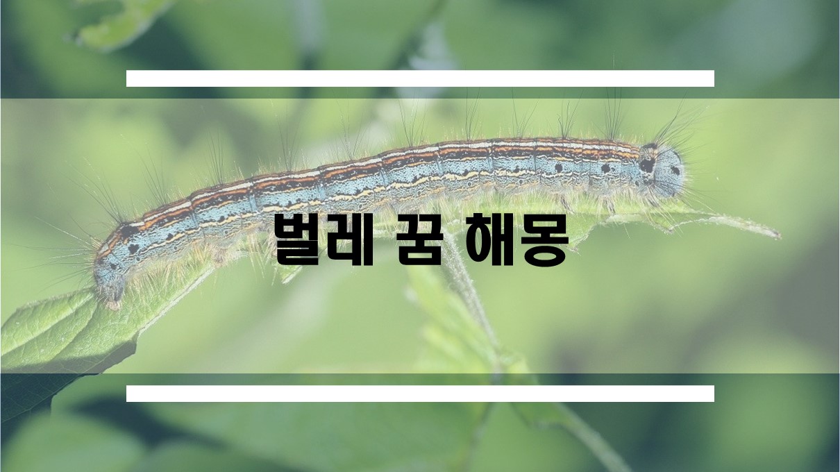  벌레 먹는 꿈, 벌레 물리는 꿈 등 벌레 꿈 해몽