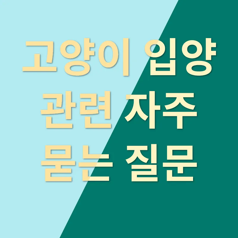 고양이 입양_4
