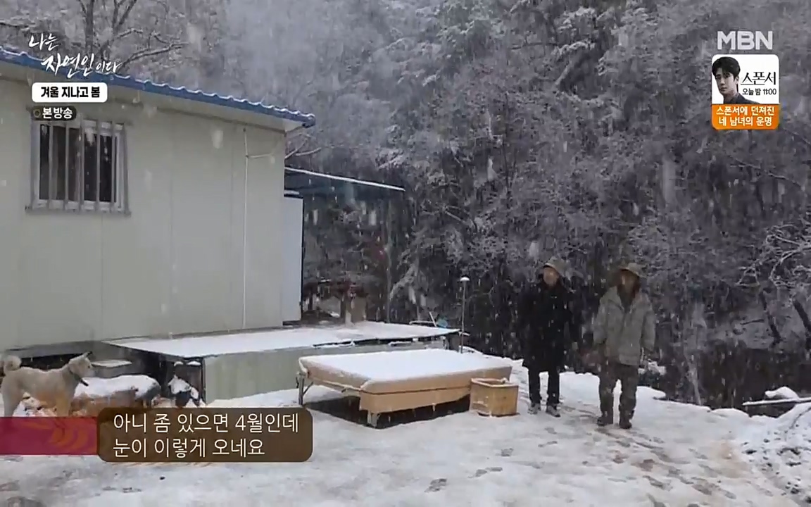 나는 자연인이다.E496.220407p-NEXT.mp4_20220407_173552.975.jpg
