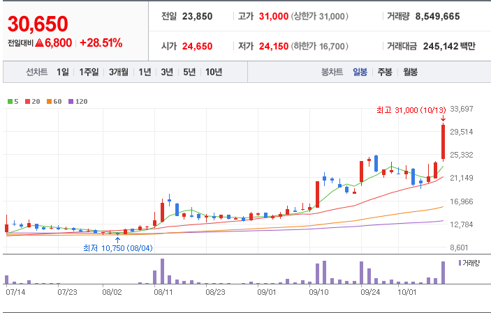  새로닉스(042600)에 대한 개인적 의견