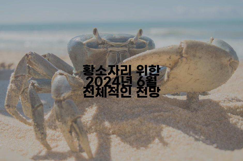 황소자리 위한 2024년 6월 전체적인 전망