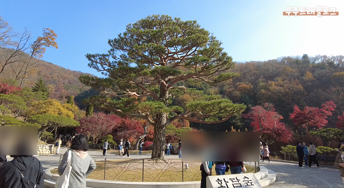 사진6