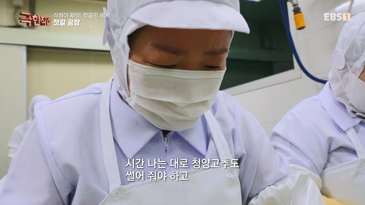 TV - 전 국민의 평생학교 EBS삭혀야 제맛! 젓갈의 세계.mp4_20231125_190848.405.jpg