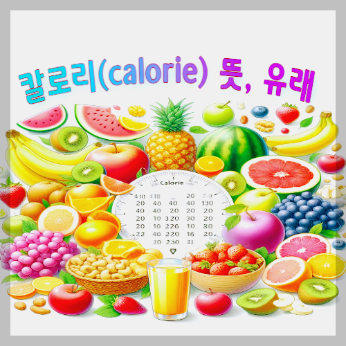 칼로리(calorie) 뜻&#44; 유래