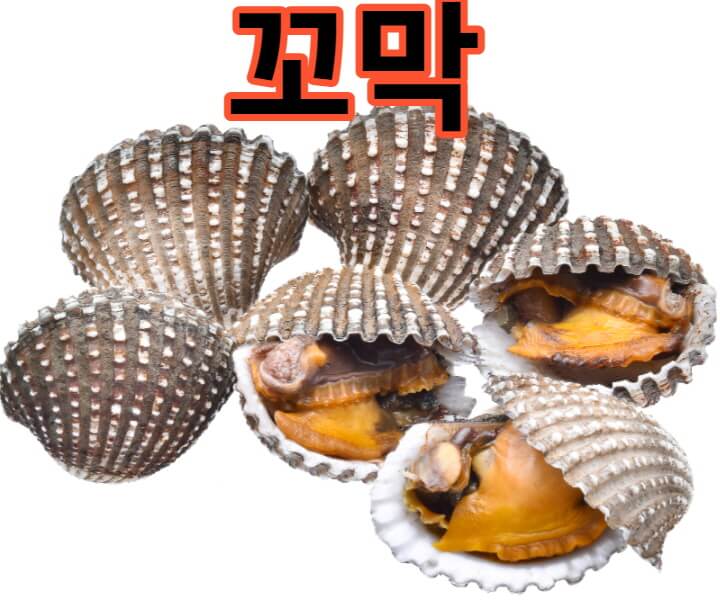  꼬막의 좋은 효능은?