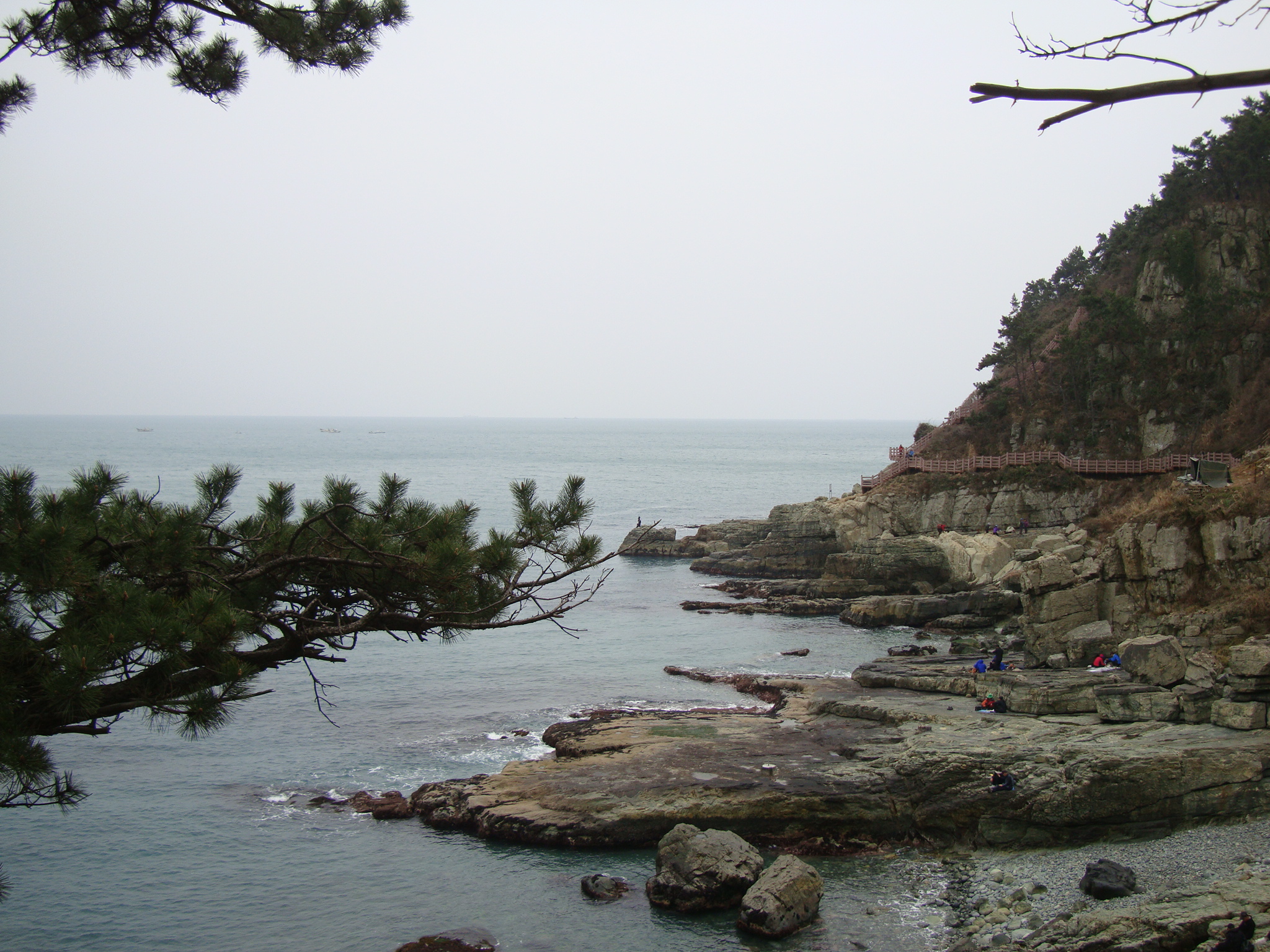  부산 장자산 [용호변전소~장자산~섶자리]