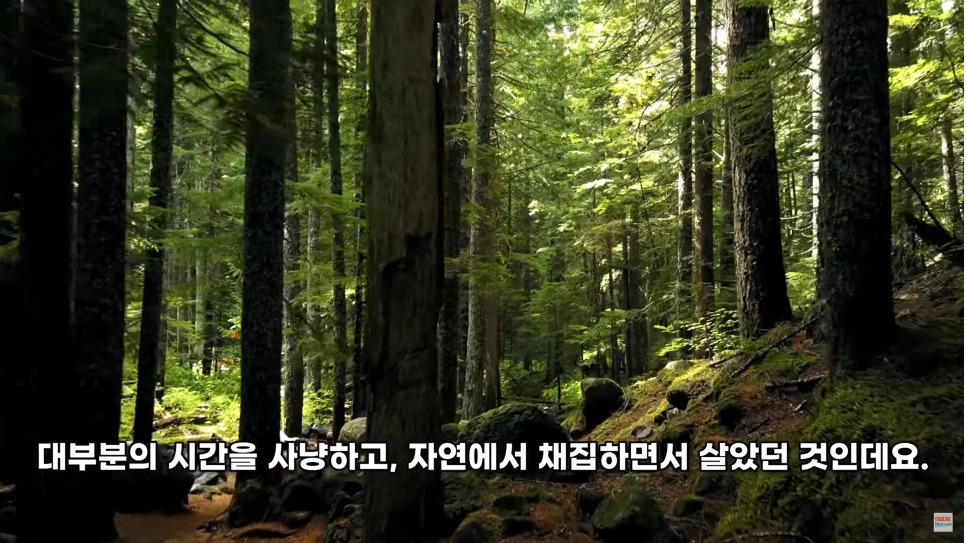  신체활동의 중요성 머리 좋아지는 가장 간단한 방법 운동을 해야 하는 이유