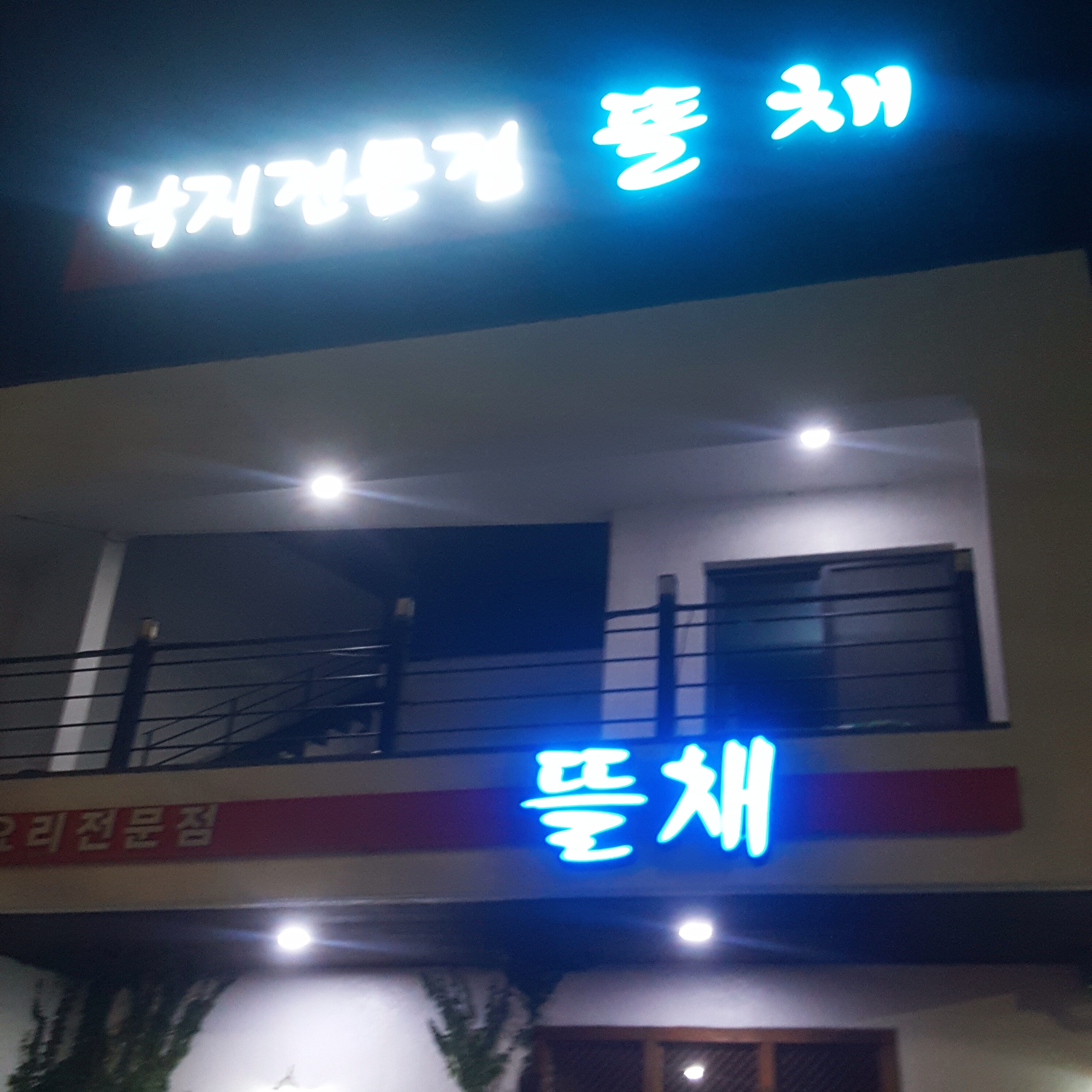 싱싱한 전남 목포 낙지 맛집 뜰채로 가자