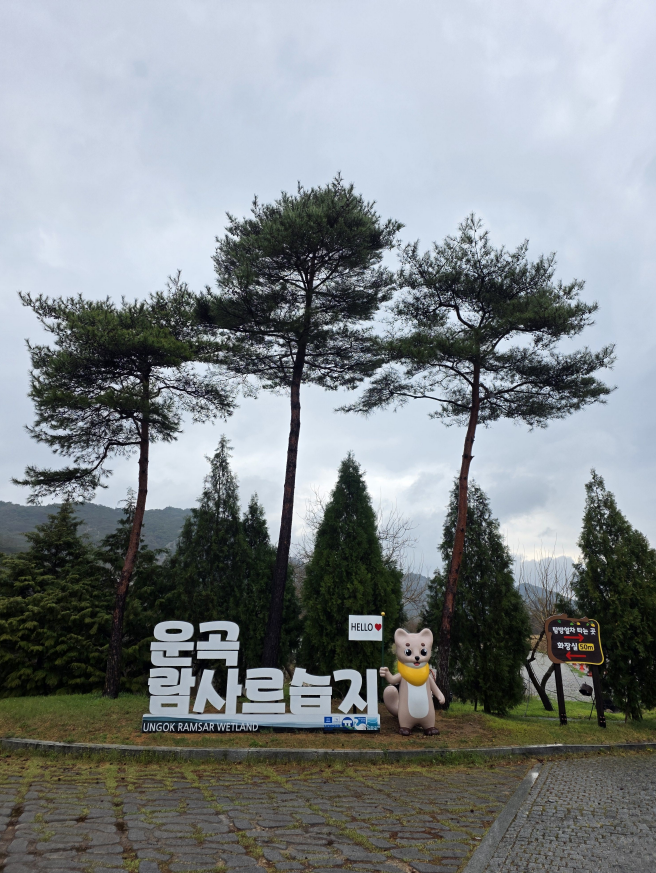 벚꽃축제 중인 고창 on 7