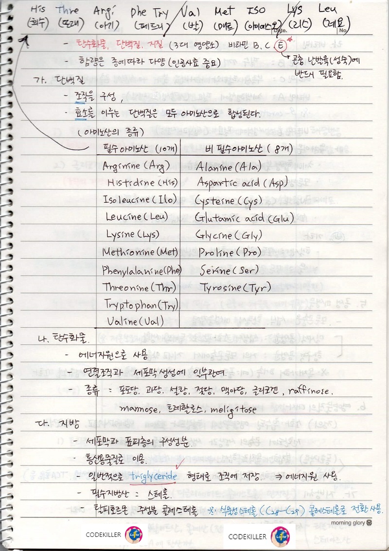  [수목해충학] 6. 곤충의 기관별 생리와 기능 - 영양