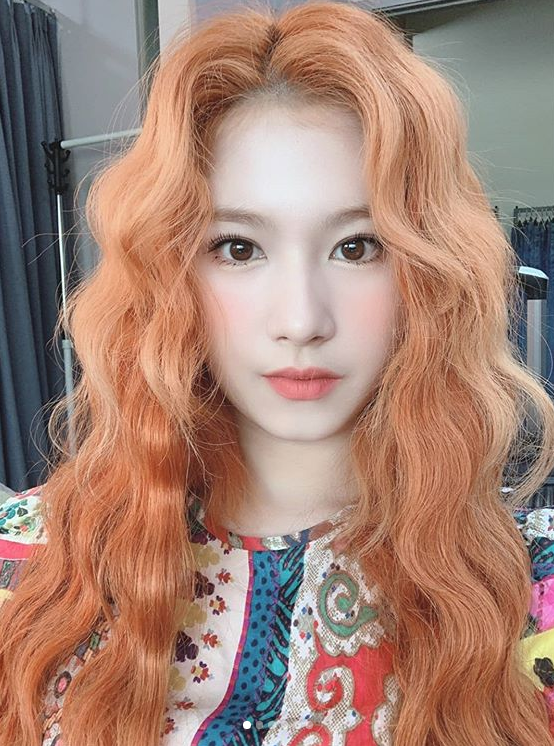  트와이스 사나 나연 정연 프로필과 피규어 영상