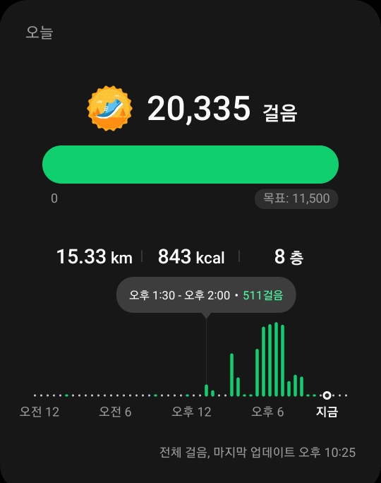  [직장인 운동기록]  2만보 1일차