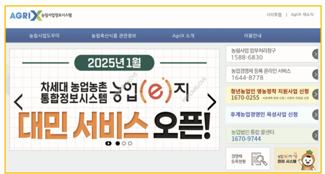 신청 방법