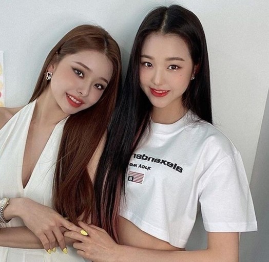 프리지아 이미지