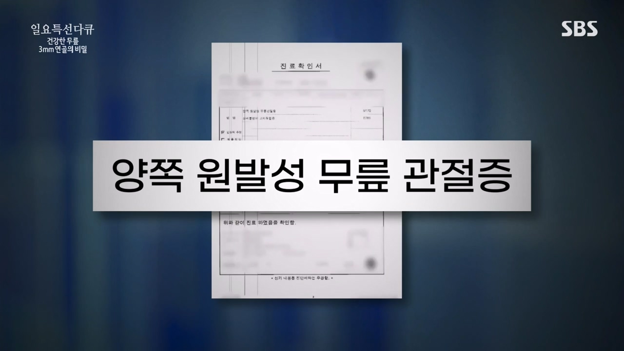 일요특선 다큐멘터리.E341.240318p-NEXT.mp4_20240317_190308.288.jpg