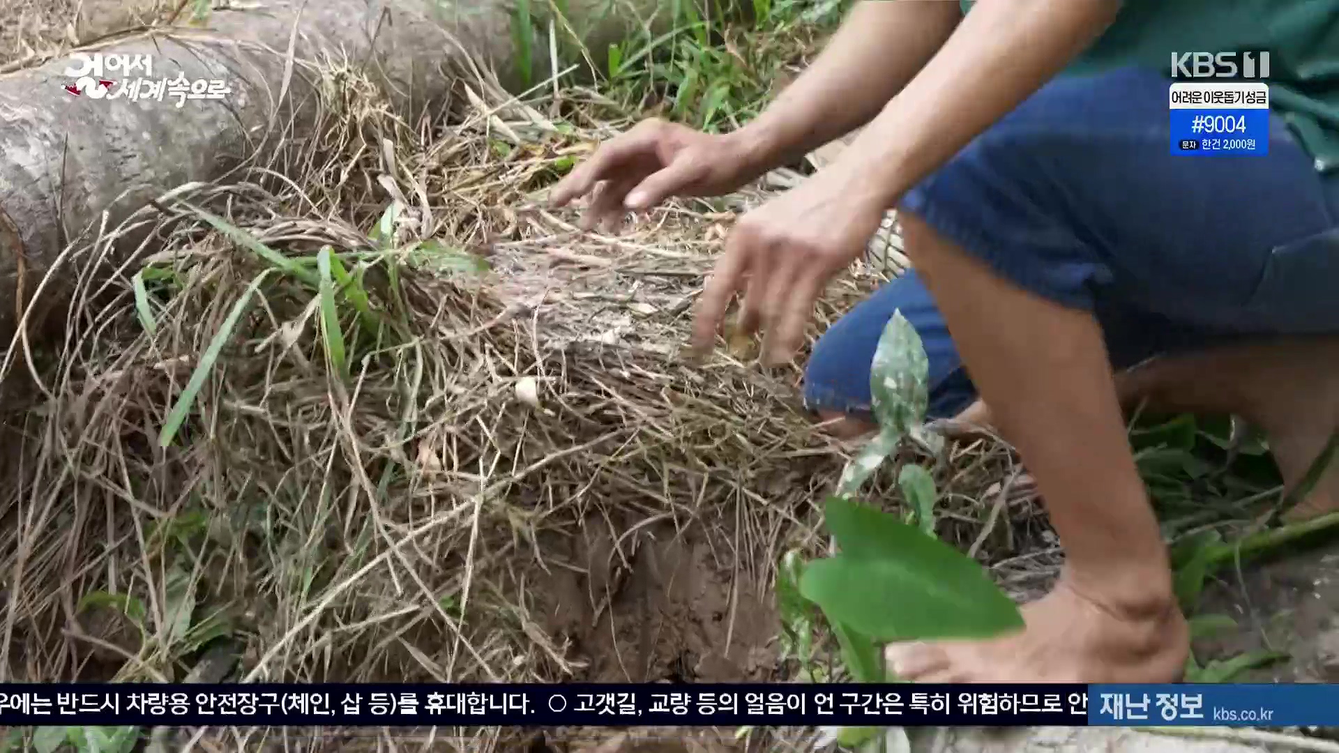 걸어서 세계속으로.E826.240120p.H264-F1RST.mp4_20240716_202058.638.jpg