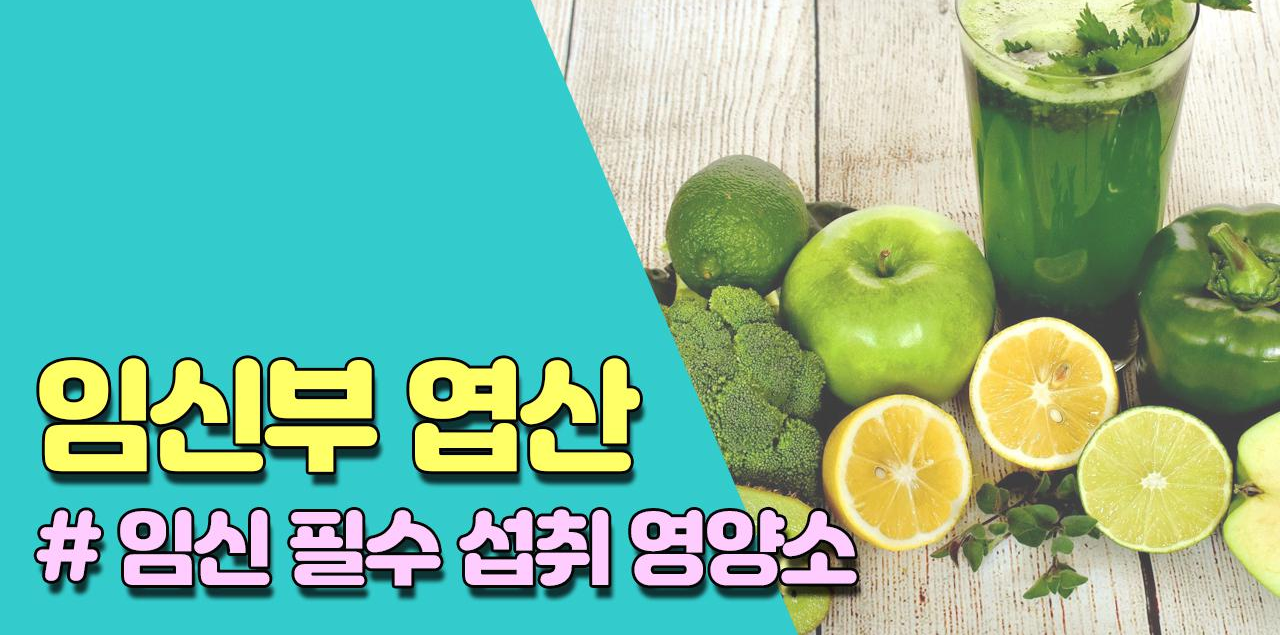  임신계획 - 임신 계획을 세우셨나요? 엽산 꼭 드셔야 합니다!