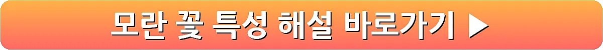모란 꽃 특성 해설_4