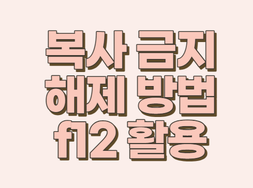  [블로그 복사 금지 풀기] F12버튼으로 3분만에 가능!