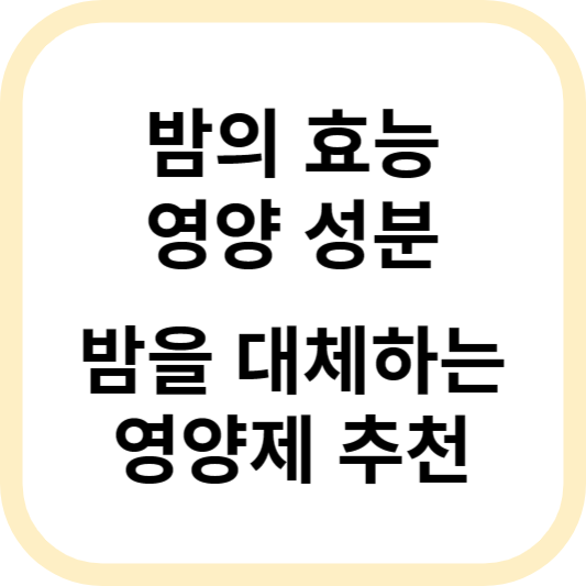 밤의 효능&#44; 영양 성분&#44; 추천 영양제 알아보기