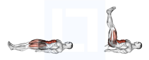 허리가 아픈 이유 - 다리 들어올리기