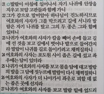 민수기 22장 발락과 발람 묵상_22