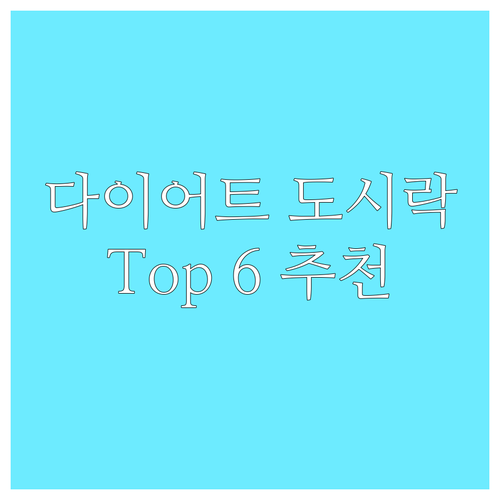 다이어트 도시락 추천 Top 6 가격
