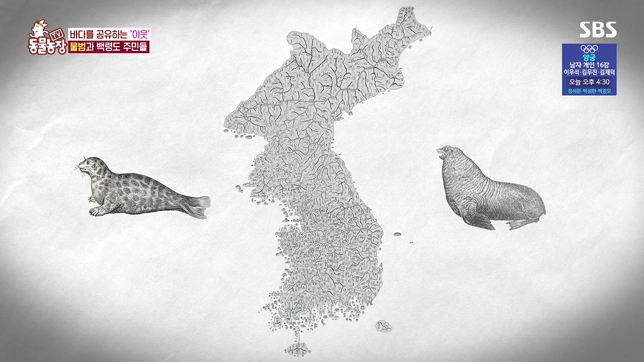 TV 동물농장.E1183.240805p-NEXT.mp4_20240804_154445.060.jpg