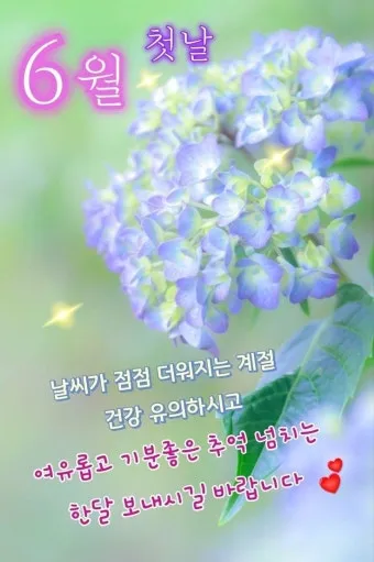 6월 인사말 모음 상황별 이미지 일러스트_23