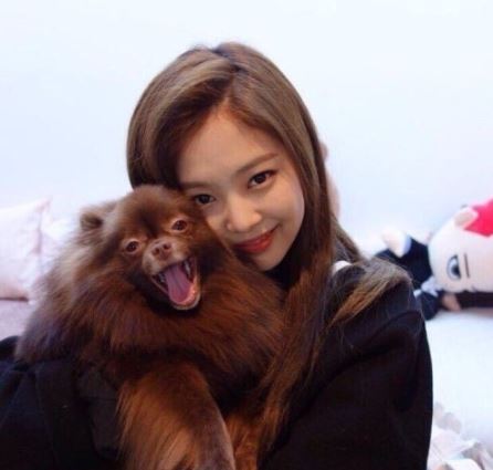 쿠마 이미지