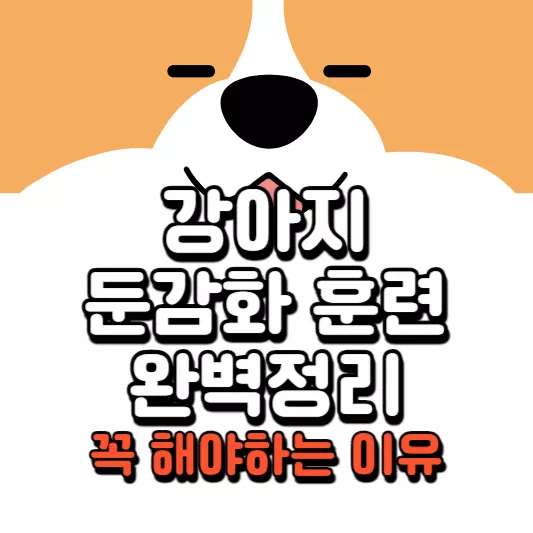 강아지
강아지-둔감화-훈련
썸네일