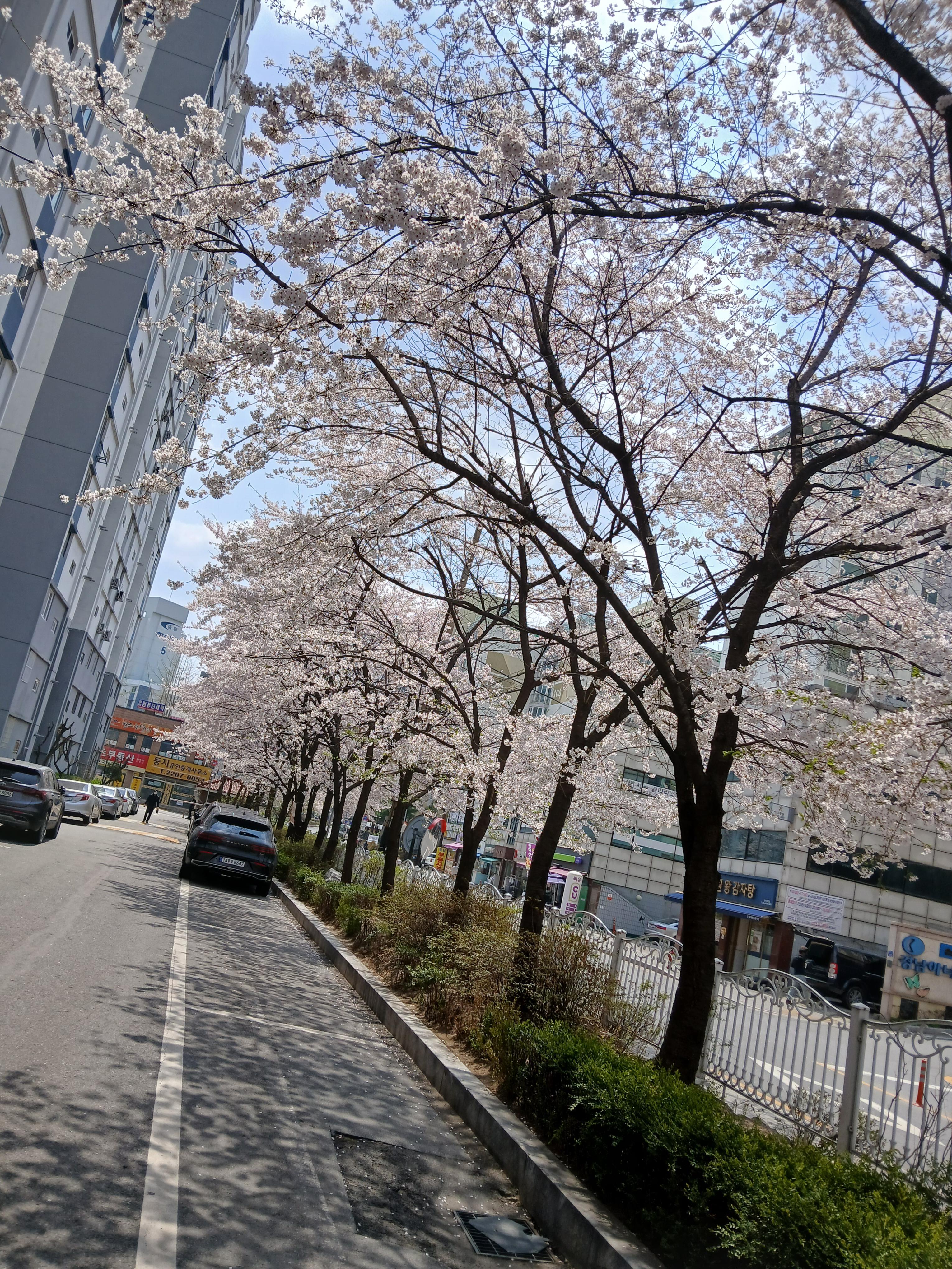 소우주 이미지