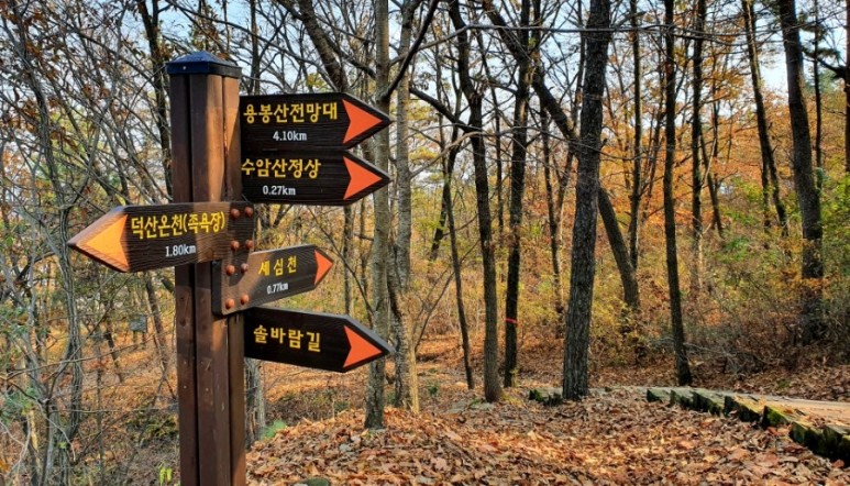 - 수덕사, 명상치유림길과 수암산의 가을 예산으로 볼거리, 단풍여행 22