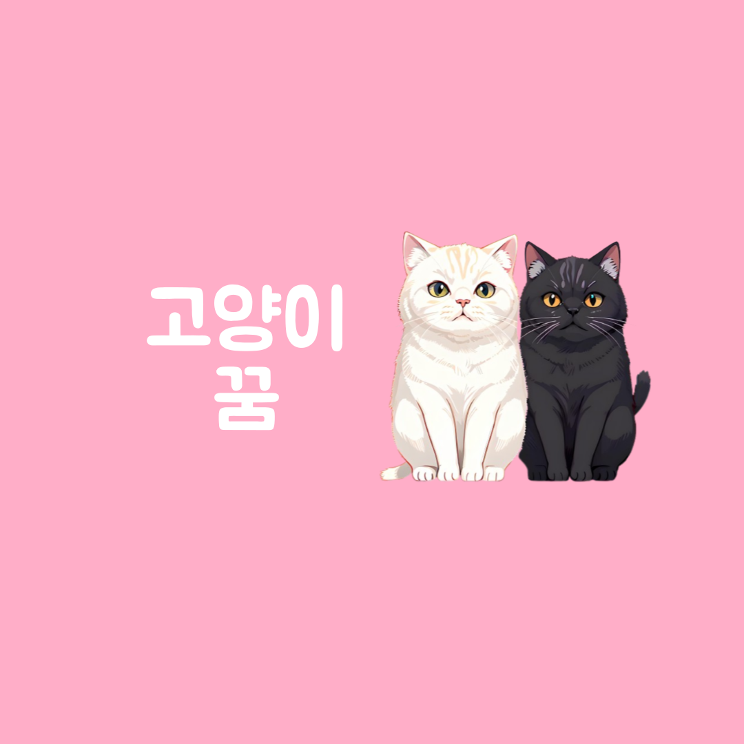 고양이 꿈 해몽