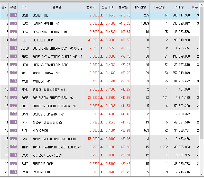  12월23일 미국주식 상승률 상위 종목 TOP 200