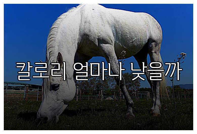 칼로리 얼마나 낮을까