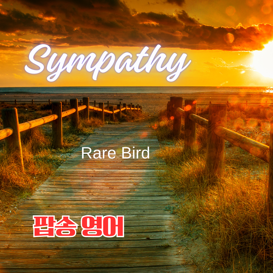 Sympathy by Rare Bird : 가사 해석 발음 원리