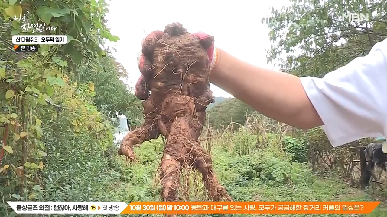 나는 자연인이다.E525.221027p-NEXT.mp4_20221027_192759.561.jpg