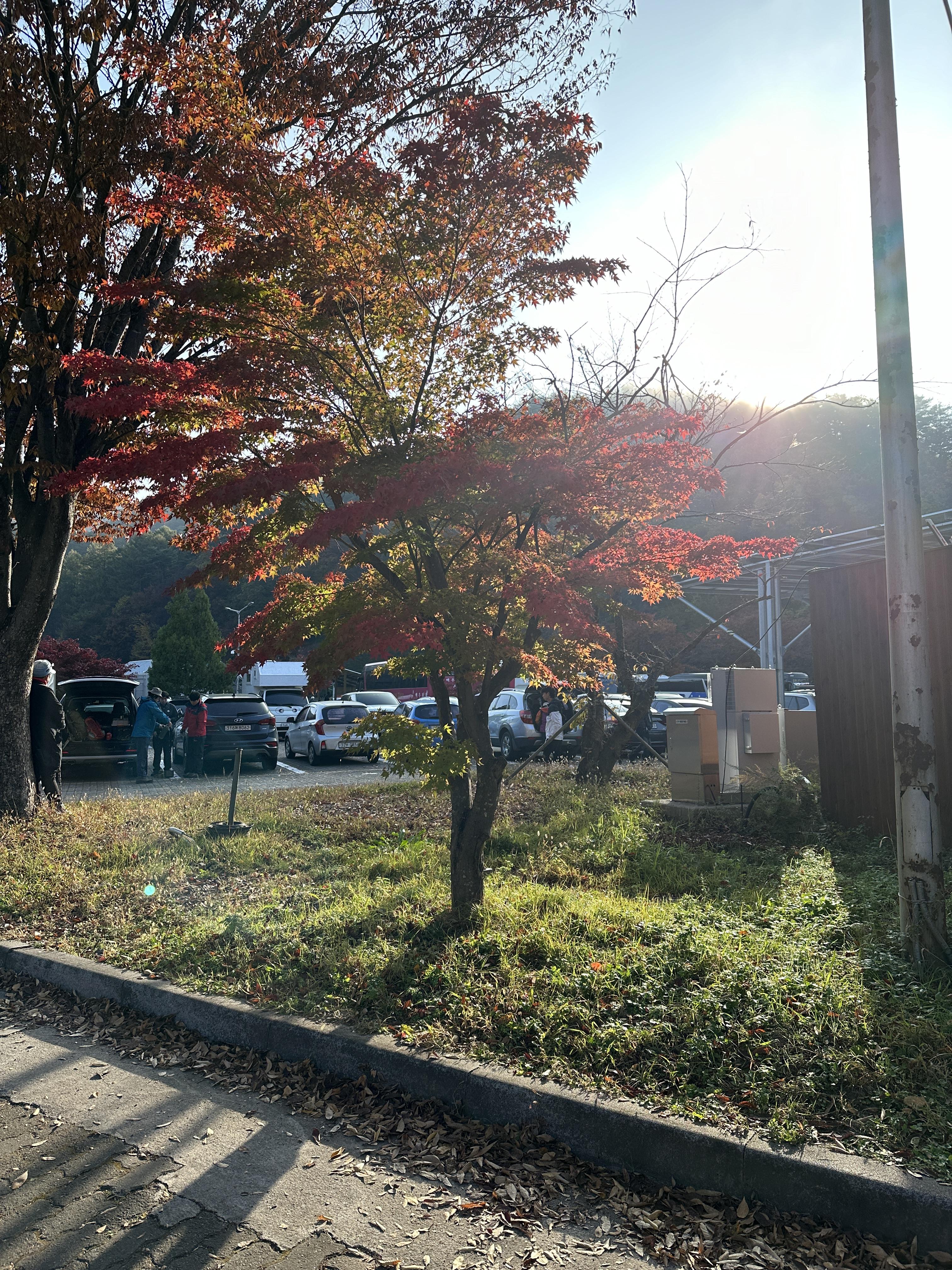 주왕산 가을산행 등산코스