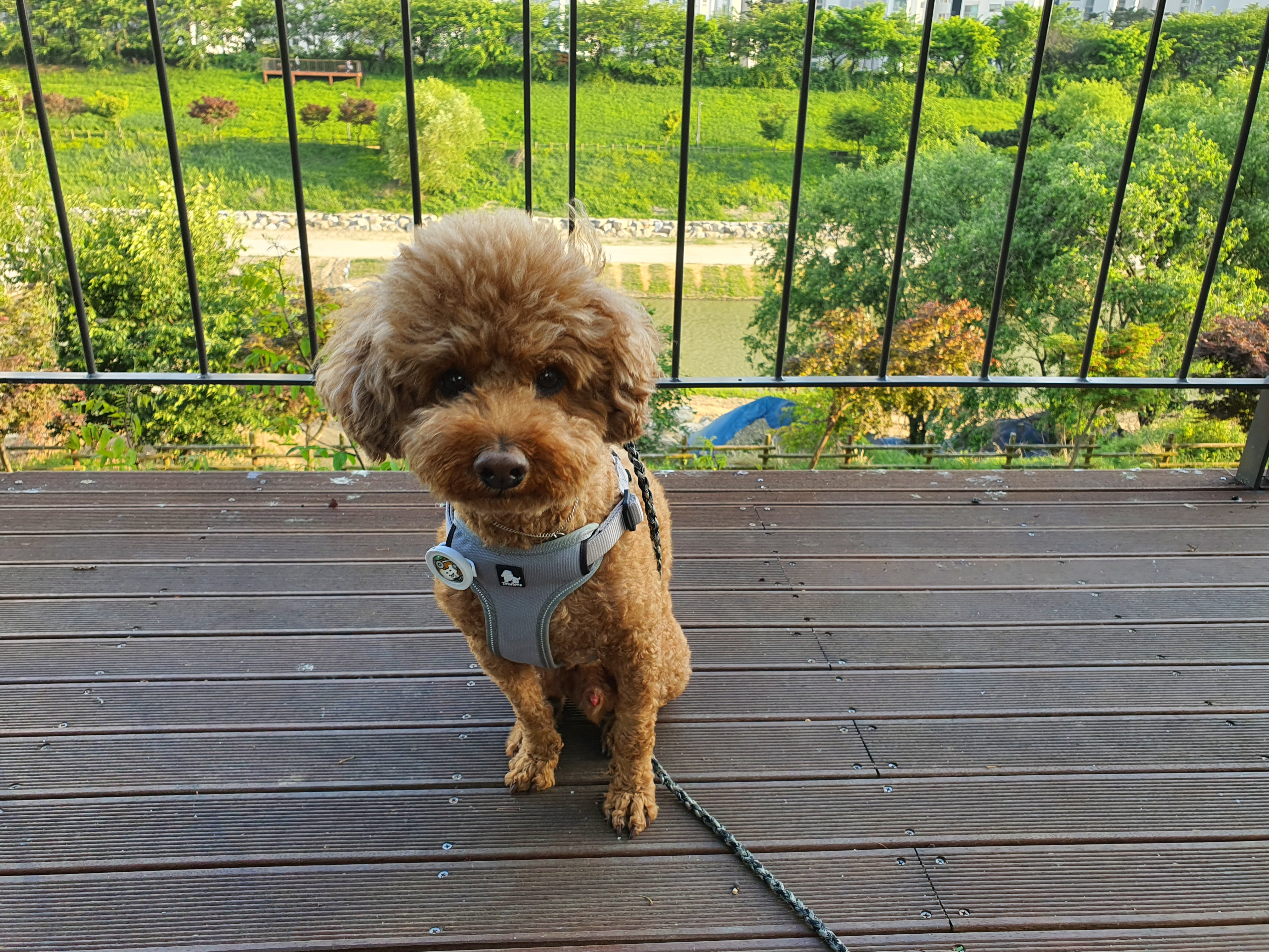 초록하다 이미지