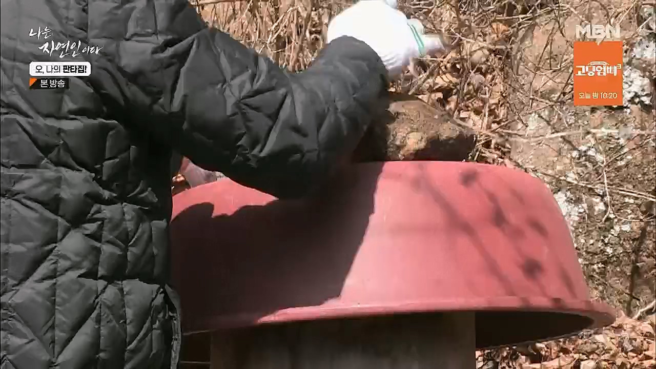 나는 자연인이다.E546.230323p.H264-F1RST.mp4_20230323_201548.507.jpg