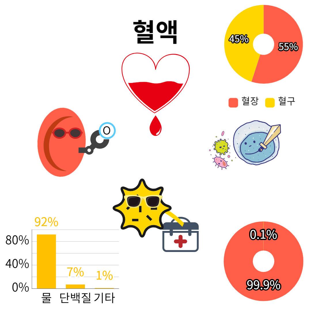  중2 과학-동물과 에너지-혈액