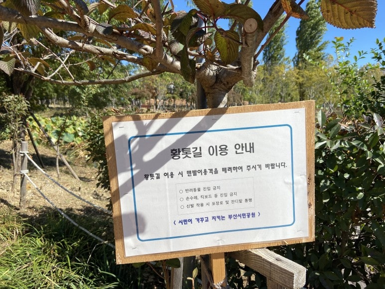 황토이용안내