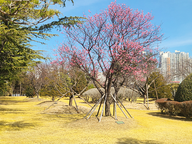 부산 유엔공원
