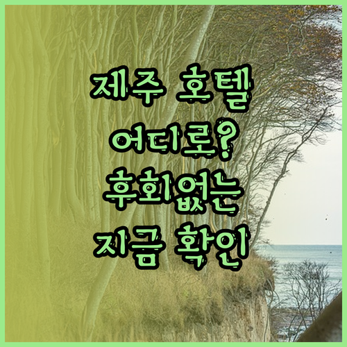 제주 호텔 어디로 떠나볼까? 후회없는