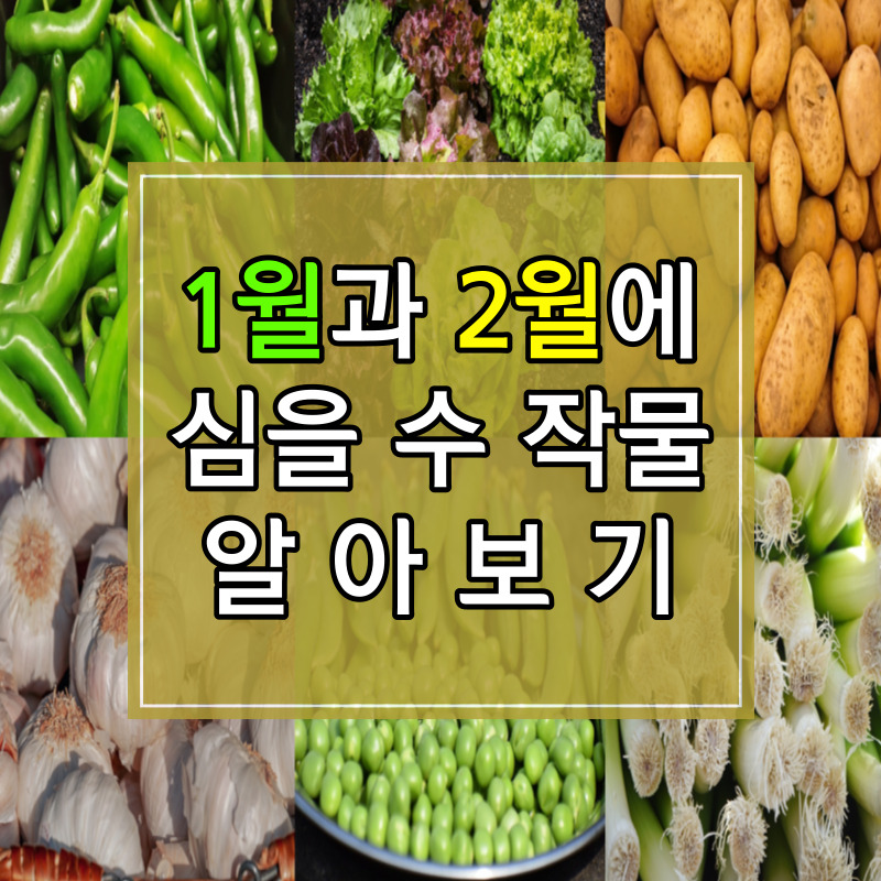 1월과 2월에 심는 작물 알아보기