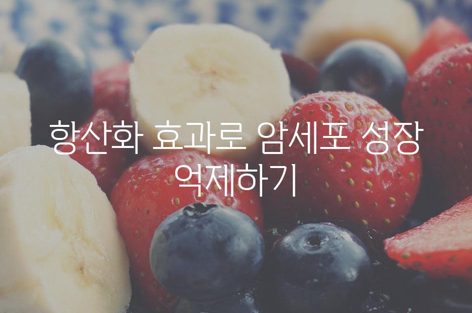 항산화 효과로 암세포 성장 억제하기