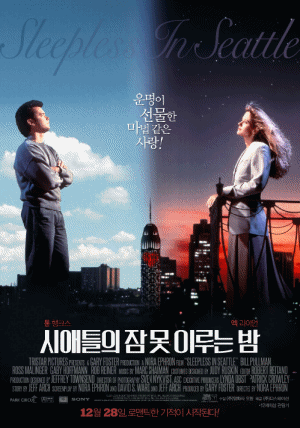 잠 못 이루는 시애틀의 밤