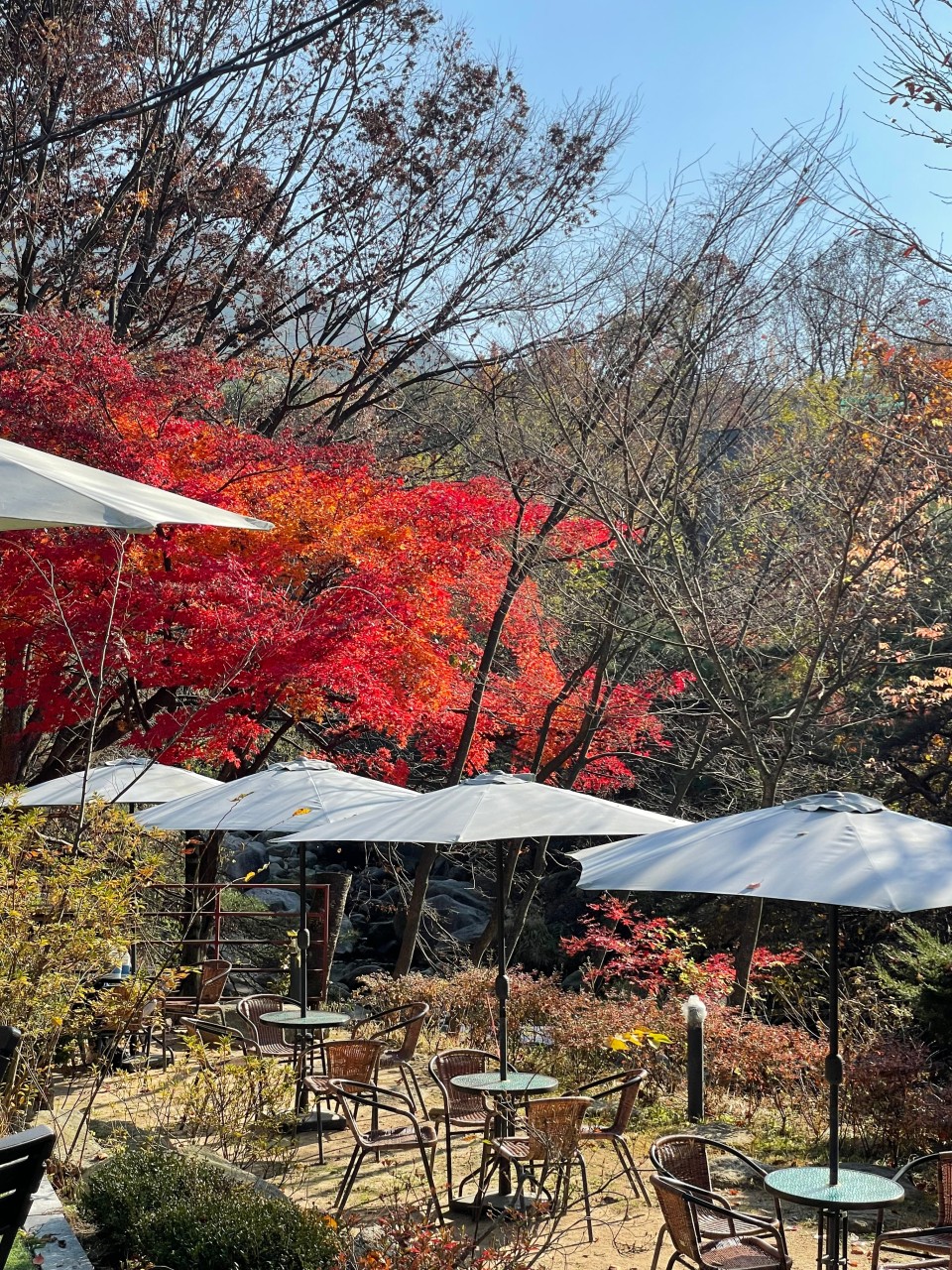 북한산놀면라면카페 이미지