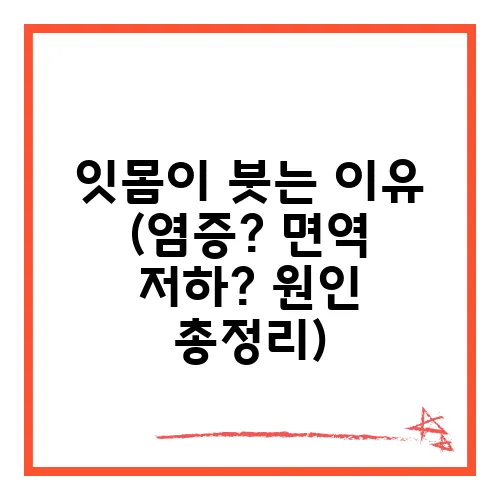 잇몸이 붓는 이유 (염증? 면역 저하? 원인 총정리)